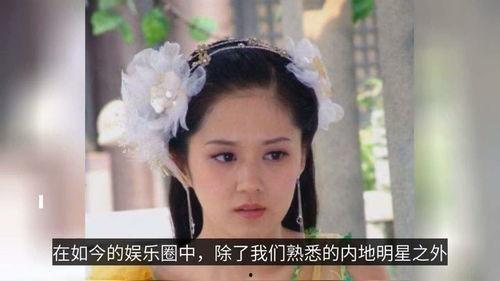 张娜拉电视剧,演绎人生百态，诠释情感纠葛